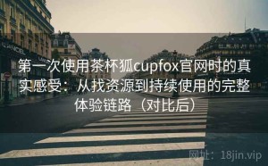 第一次使用茶杯狐cupfox官网时的真实感受：从找资源到持续使用的完整体验链路（对比后）