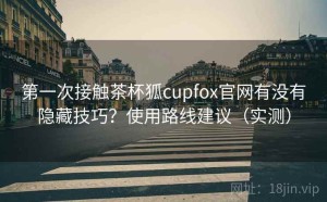第一次接触茶杯狐cupfox官网有没有隐藏技巧？使用路线建议（实测）