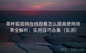 茶杯狐官网在线观看怎么提高使用效率全解析：实用技巧合集（实测）