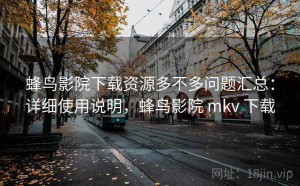 蜂鸟影院下载资源多不多问题汇总：详细使用说明，蜂鸟影院 mkv 下载