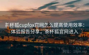 茶杯狐cupfox官网怎么提高使用效率：体验报告分享，茶杯狐官网进入