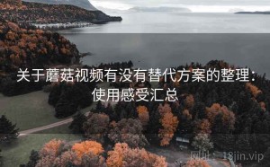 关于蘑菇视频有没有替代方案的整理：使用感受汇总