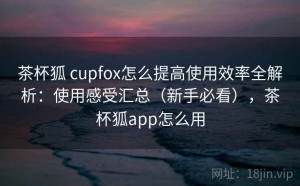 茶杯狐 cupfox怎么提高使用效率全解析：使用感受汇总（新手必看），茶杯狐app怎么用