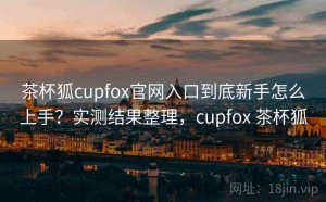 茶杯狐cupfox官网入口到底新手怎么上手？实测结果整理，cupfox 茶杯狐