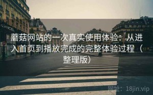 蘑菇网站的一次真实使用体验：从进入首页到播放完成的完整体验过程（整理版）