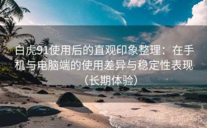 白虎91使用后的直观印象整理：在手机与电脑端的使用差异与稳定性表现（长期体验）