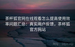 茶杯狐官网在线观看怎么提高使用效率问题汇总：真实用户反馈，茶杯狐官方网站