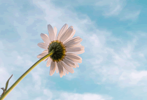 茶杯狐搜索好不好用：体验报告分享，茶杯狐 cupfox - 努力让找电影变得简单