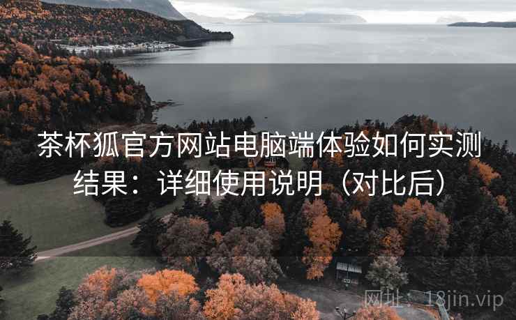 茶杯狐官方网站电脑端体验如何实测结果：详细使用说明（对比后）