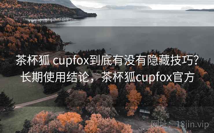 茶杯狐 cupfox到底有没有隐藏技巧？长期使用结论，茶杯狐cupfox官方