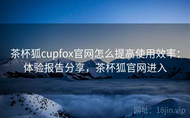 茶杯狐cupfox官网怎么提高使用效率：体验报告分享，茶杯狐官网进入
