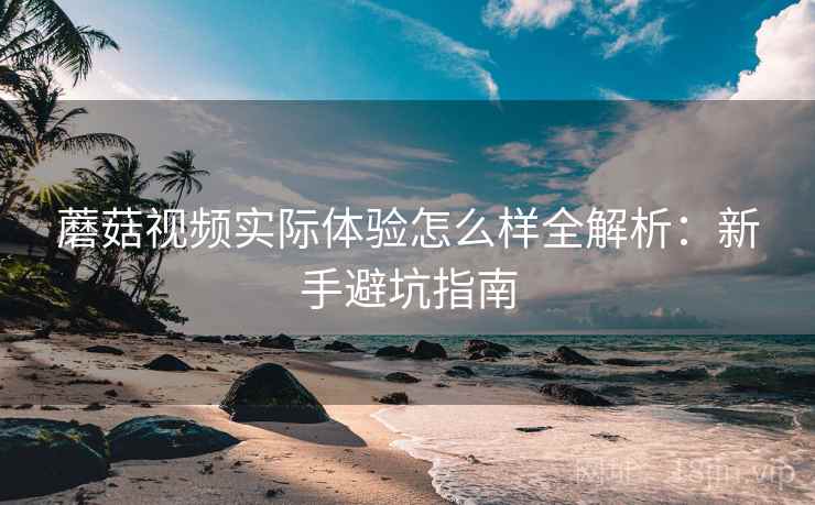 蘑菇视频实际体验怎么样全解析：新手避坑指南